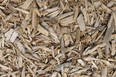 biomass boilers Morfa Glas